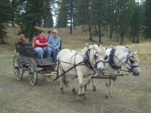 Driving Solven & Brisk